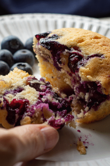 Fluffy Low-Carb Blueberry Muffins