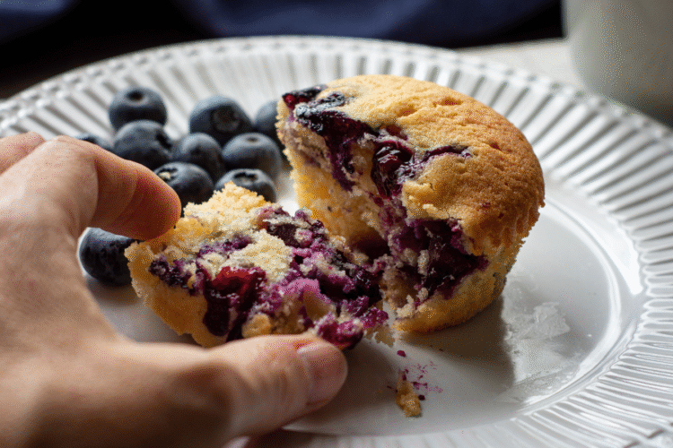 Fluffy Low-Carb Blueberry Muffins